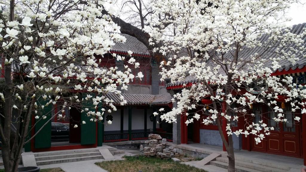 Scholar Tree Courtyard Hotel Peking Exterior foto